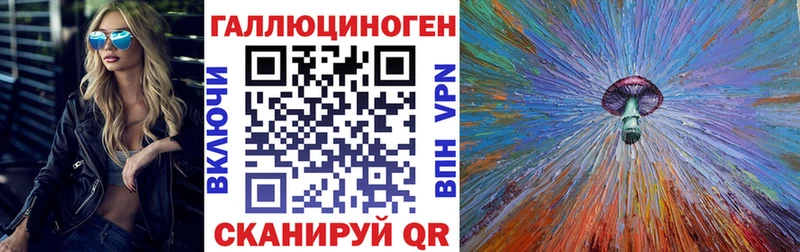 купить   hydra tor  Псилоцибиновые грибы мицелий  Белокуриха 